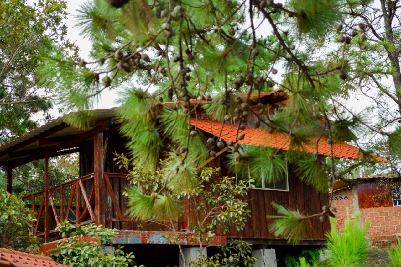 Hotel Y Restaurante Las Margaritas Perquin ภายนอก รูปภาพ